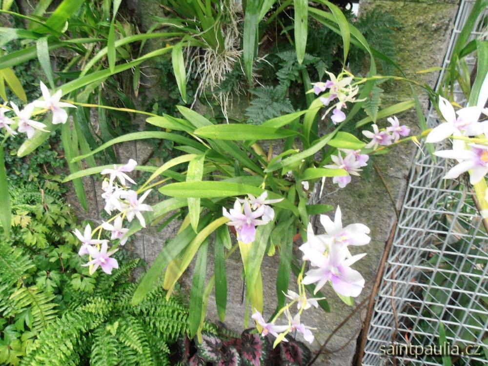 057