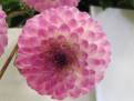 057
