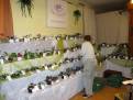 IMG 6294