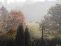 ne 029