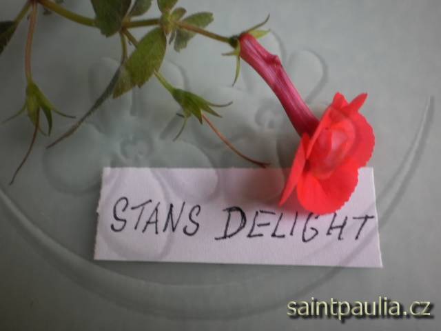 Stan's Delight