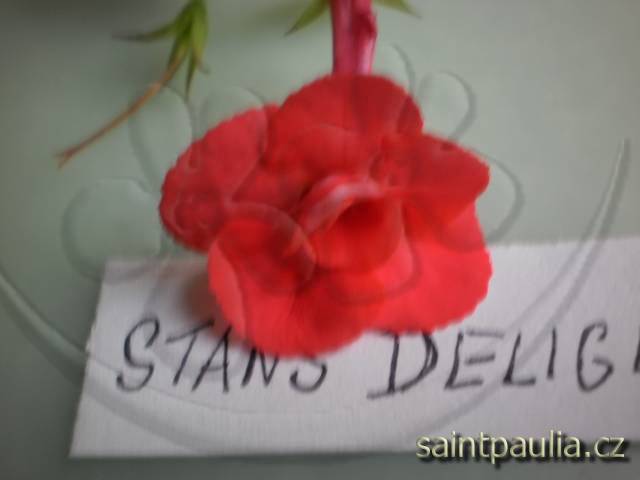 Stan's Delight
