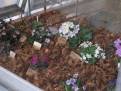 IMG 6819