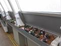 IMG 6855