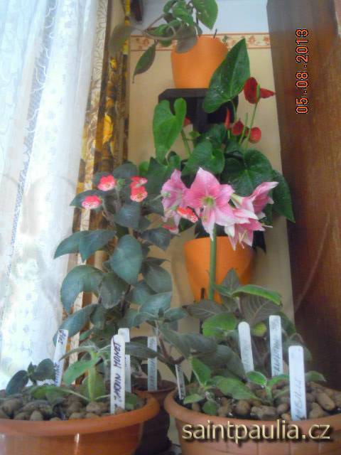 DSCN2421