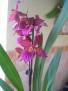DSCN0093
