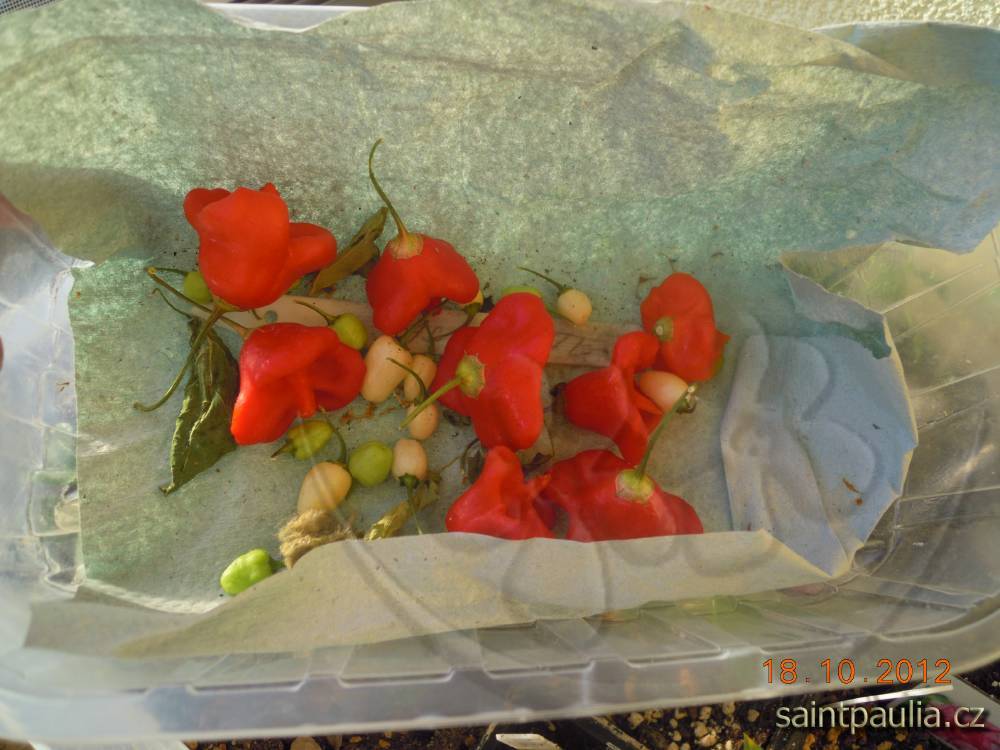 Chilli  mix