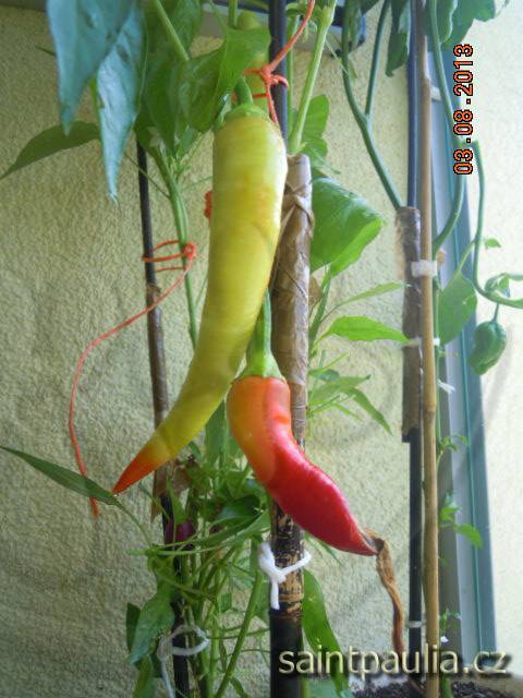 Chilli Banana Sweet