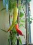 Chilli Banana Sweet