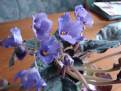 Senk's Big Bells