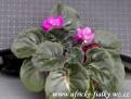 Granger's Dubonette Deb