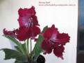 Barwy Indii