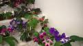 WP_20150930_14_19_33_Pro