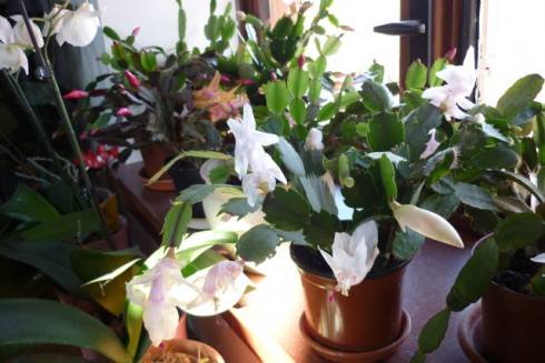 6.11.2011 004.jpg