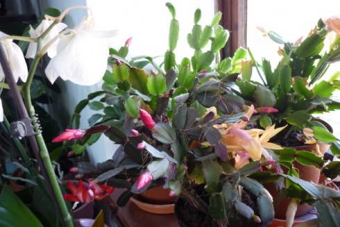 6.11.2011 005.jpg