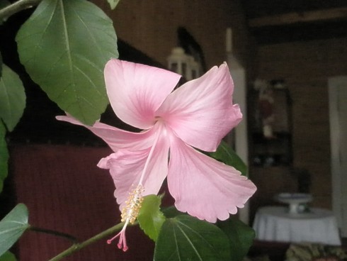 PC010022.JPG