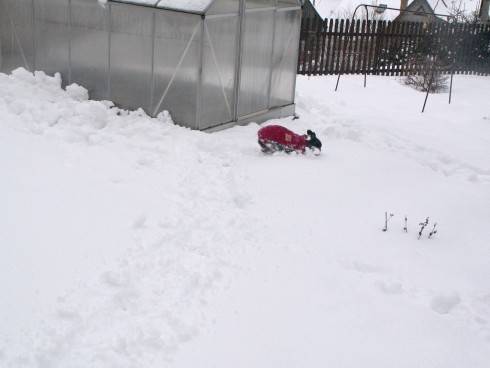 MATÝSEK 1.2012.JPG