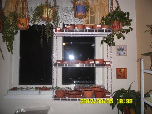 009.JPG