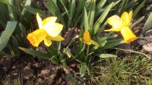 2012-04-20-028.jpg