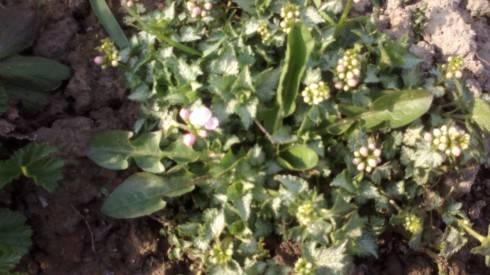 2012-04-20-027.jpg