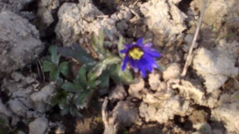 2012-04-20-030.jpg
