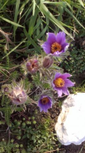 2012-04-20-032.jpg