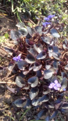 2012-04-20-033.jpg