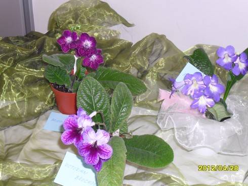 duben 2012 013.jpg