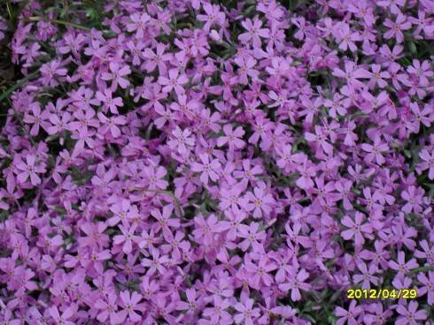 duben 2012 029.jpg