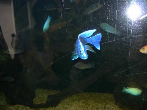 DSCN5750.JPG