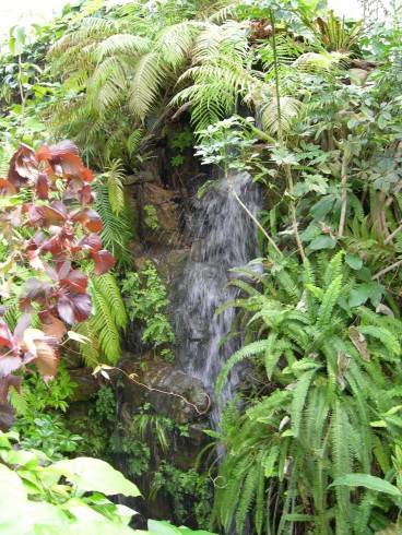 DSCN5767.JPG