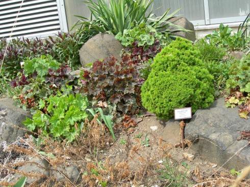 DSCN5776.JPG