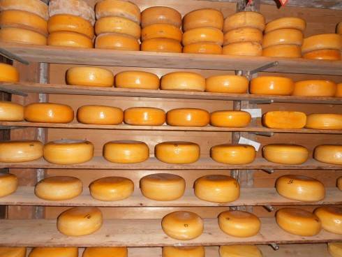 205.JPG