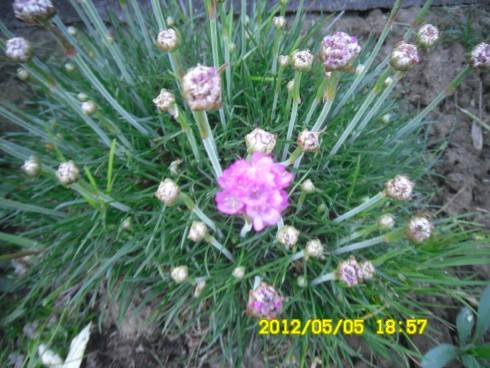 Praha 2012 053.JPG