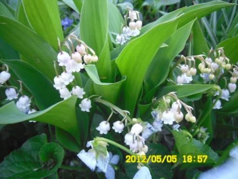 Praha 2012 055.JPG