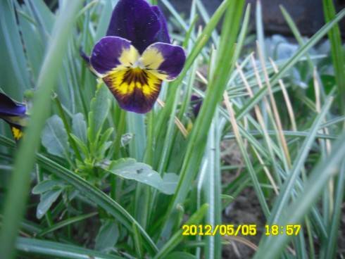 Praha 2012 058.JPG