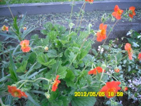 Praha 2012 061.JPG