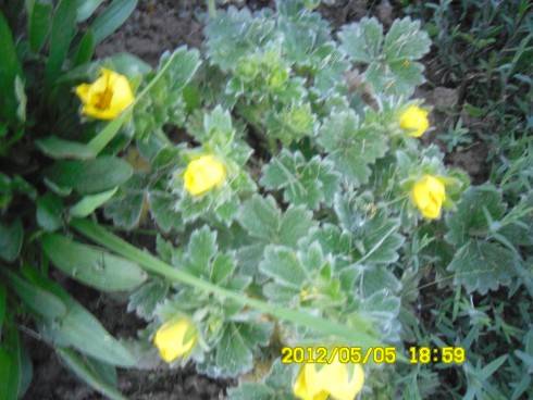 Praha 2012 066.JPG