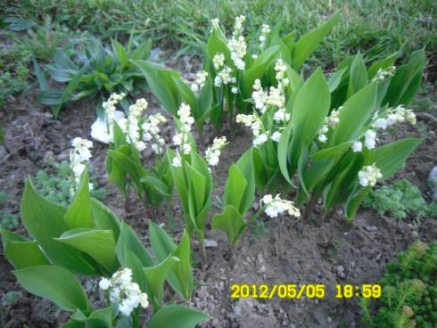Praha 2012 068.JPG