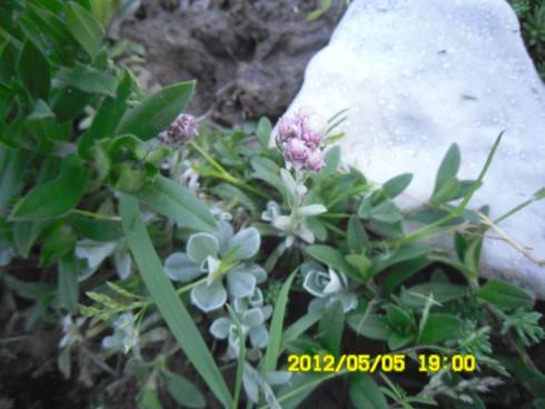 Praha 2012 070.JPG