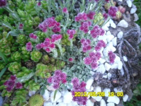 Praha 2012 073.JPG