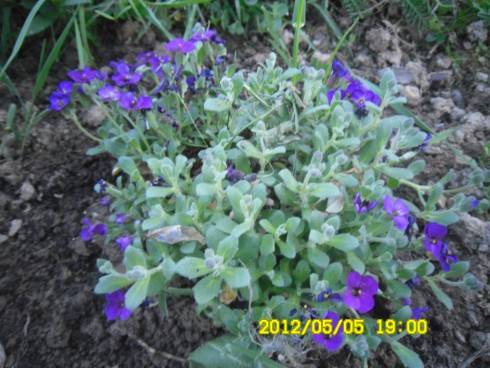 Praha 2012 074.JPG
