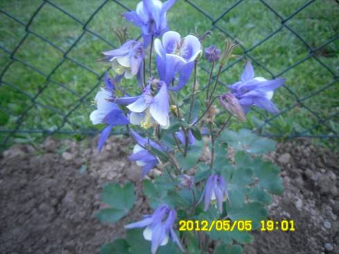 Praha 2012 076.JPG