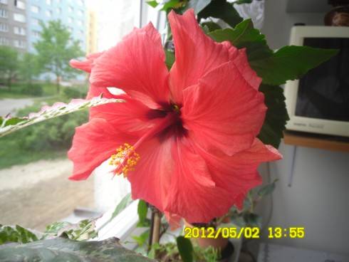 Praha 2012 052.JPG