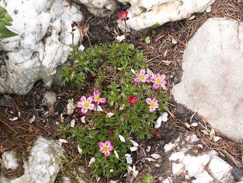 PICT0030.JPG