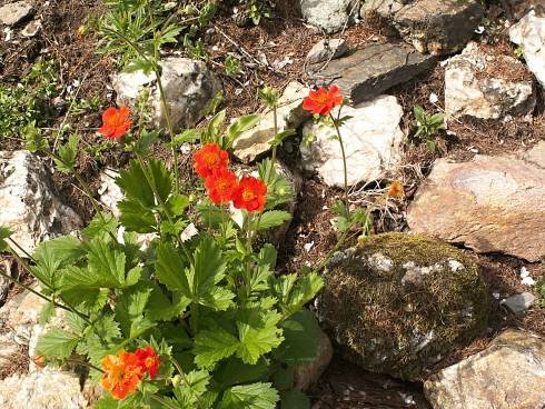 PICT0023.JPG