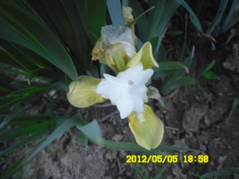 Praha 2012 063.JPG