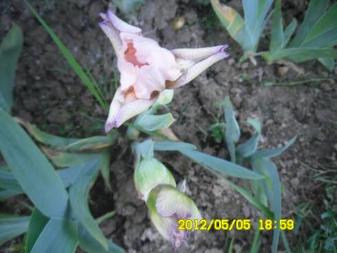 Praha 2012 067.JPG
