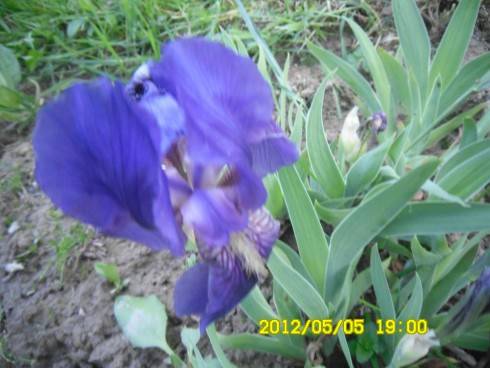 Praha 2012 072.JPG