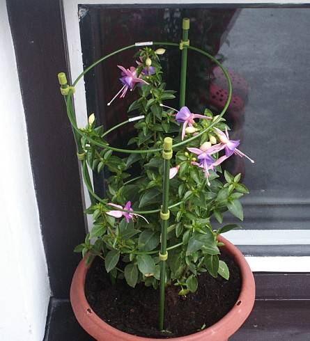 PICT0003.JPG